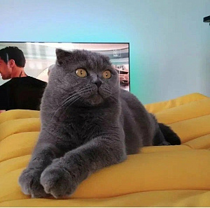 Фото покупателя, оценка 5 - 3